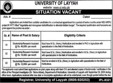 Advertisement for University of Layyah Jobs 2024