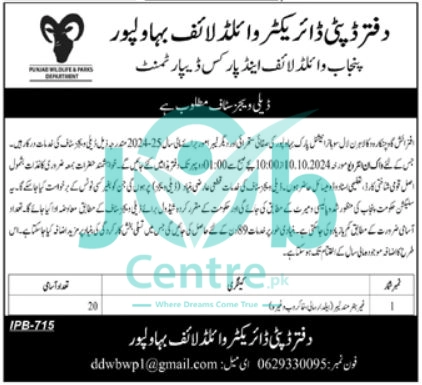 Punjab Wildlife & Parks Department Jobs 2024