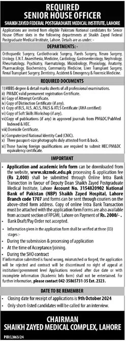 Shaikh Zayed Postgraduate Medical Institute Jobs 2024