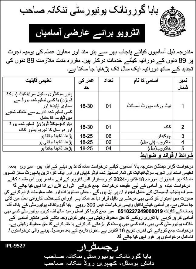 BGNU Nankana Sahib Jobs 2024