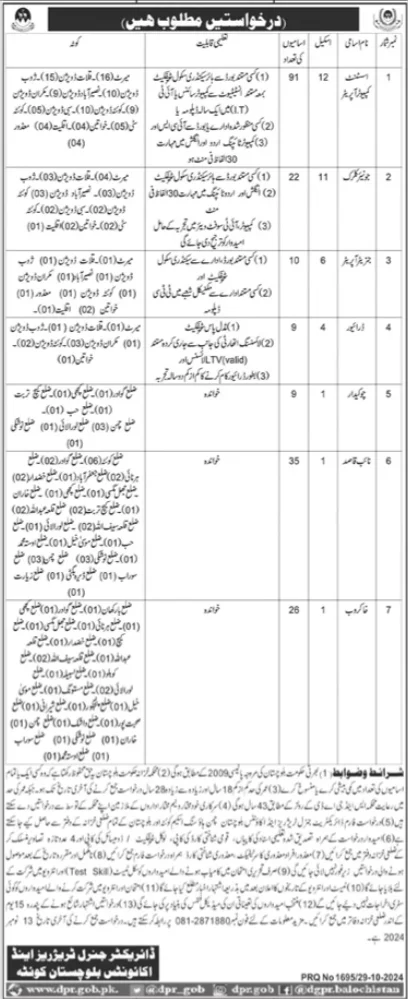 Director General Treasuries and Accounts Jobs