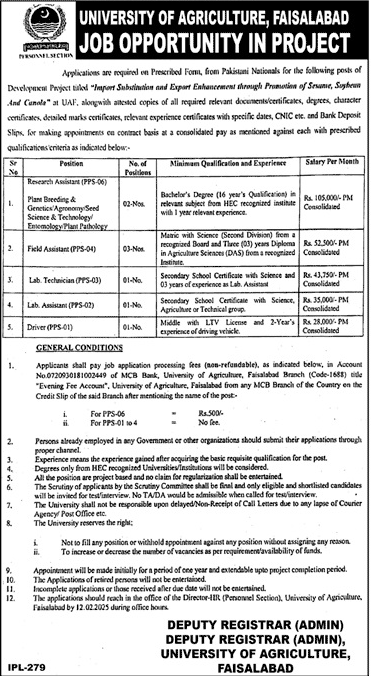 Advertisement for University Of Agriculture UAF Jobs 2025